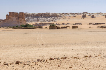 Oasis in the Sahara desert, Chad, Africa