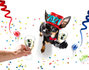 bonne année chien célébration