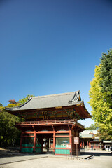 Tourism Spot in Tokyo, Nezu Shrine