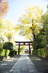 Historical Place in Tokyo, Nezu Shrine.