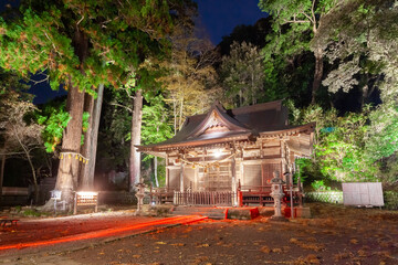 Fototapeta na wymiar 修善寺　日枝神社　ライトアップ