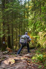 Fototapeta premium Professional nature photographer hiking