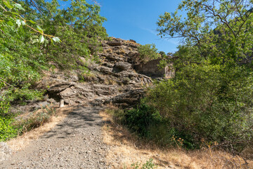 path in the Sierra Nevada mountain