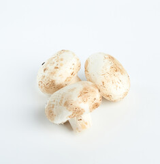 resh cut mushrooms champignons on white background