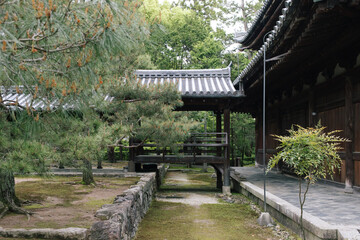 ancient traditional japanese building brige temple shrouded in foliage and trees. typical kyoto japan old style