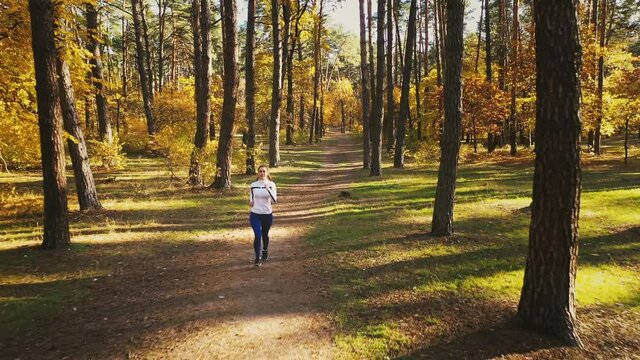 Aerial view. Young female in sportswear is running by path in autumn wood on sunny day