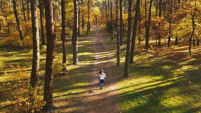 Aerial view. Unrecognizable young woman in sport clothes is jogging by path in autumn forest on sunny day