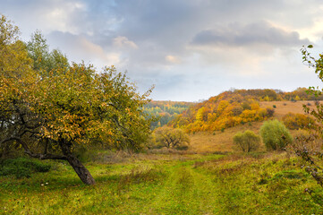 Fototapeta na wymiar Beautiful autumn landscape with colorful trees