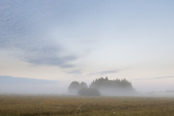 low fog in the field at dawn