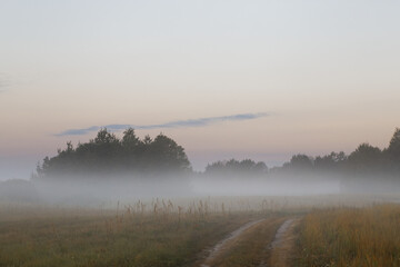 Fototapeta premium low fog in the field at dawn