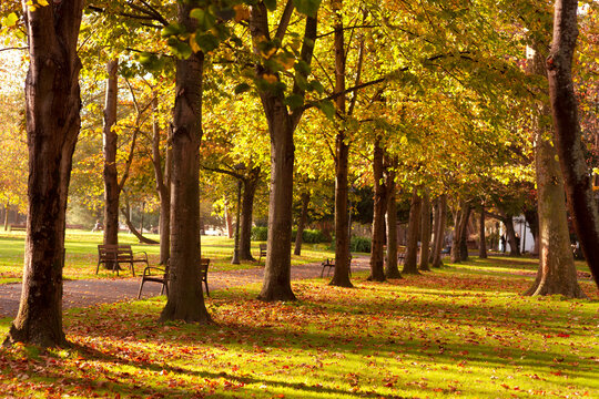 Parque Ferrera de Avil&eacute;s en oto&ntilde;o al atardecer .