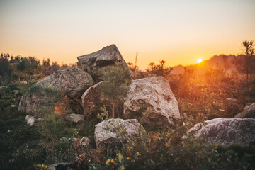 Group of stones at sunset