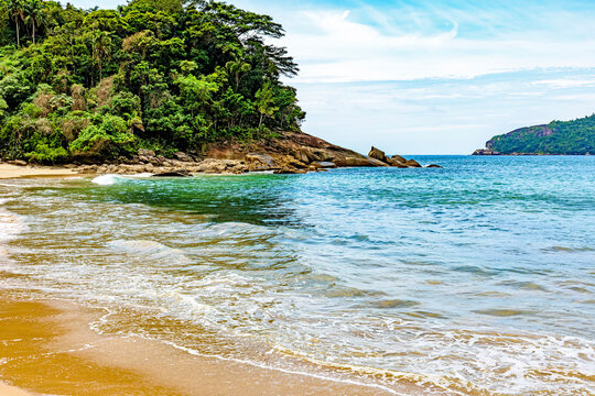 Dense vegetation of the tropical forest by the sea of transparent waters in Trindade on the south coast of Rio de Janeiro