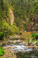 The Karangahake Gorge, New Zealand.  State Highway 2 runs alongside the Ohinemuri River at the bottom of a deep valley