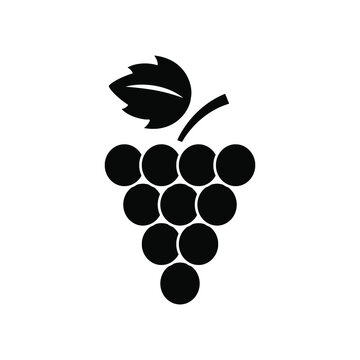 Grapes icon vector isolated illustration