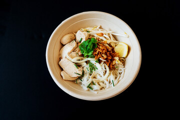 Delicious homemade Vietnamese soup Pho cooked with rice noodles, coriander leaves, soy sprouts, onions and chicken pieces for a complete and healthy meal