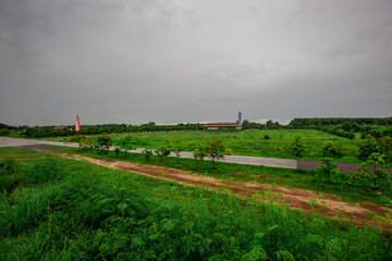 Obraz premium The close background of the green rice fields, the seedlings that are growing, are seen in rural areas as the main occupation of rice farmers who grow rice for sale or living.