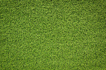 Obraz premium green grass background