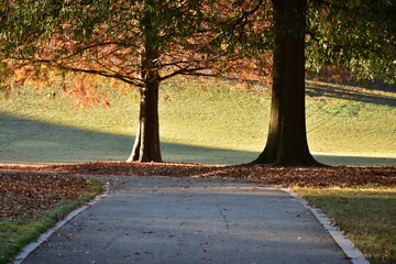 Autumn landscape in the park