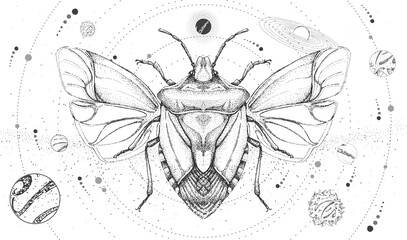 Modern magic witchcraft card with solar system and shield beetle. Hand drawing occult vector illustration
