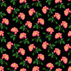 Seamless pattern with pink roses on the black background. Floral pattern for fabric or wallpaper. Watercolour illustration hand painted. Perfect for backgrounds, textures, wrapping paper, patterns.