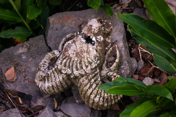 Ancient  sculpture of the horns of a mountain goat