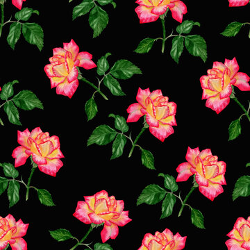 Seamless pattern with pink roses on the black background. Floral pattern for fabric or wallpaper. Watercolour illustration hand painted. Perfect for backgrounds, textures, wrapping paper, patterns.