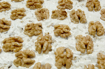 artisanal soft nougat factory of Tonara in the Sardinia region of Italy made with almonds and walnuts