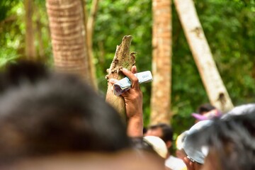 hand holding money at gamble