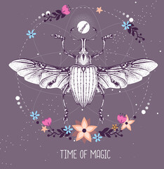 Modern magic witchcraft taros card with Curculionidae beetle on astrology background. Vector illustration