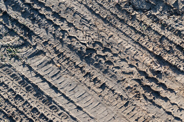 Traces de passage de véhicule sur chemin de terre