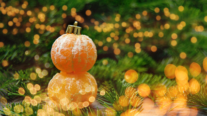 Naklejka na ściany i meble Christmas card. Mandarins as snowman on green pine branches an light bokeh.