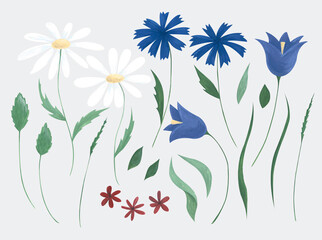 Wild flowers. Hand-drawn set of isolated illustrations. Gouache