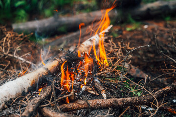 Burning branches and brushwood in fire close-up. Atmospheric warm background with orange flame of campfire and blue smoke. Beautiful full frame image of bonfire. Firewood burns in vivid flames.