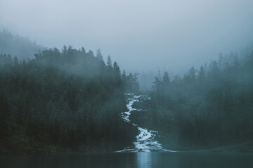 Highland creek flows through forest and flows into mountain lake. Ghostly foggy landscape with alpine lake and dark forest among low clouds. Atmospheric scenery with coniferous trees in dense fog.