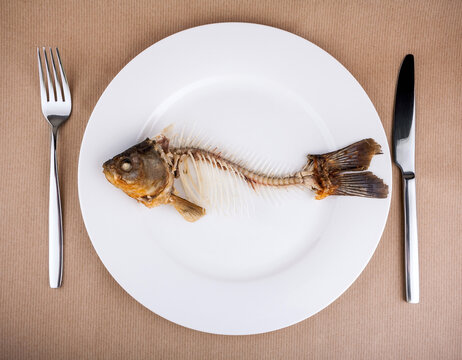 Complete bone of whole fish on plate, abstract