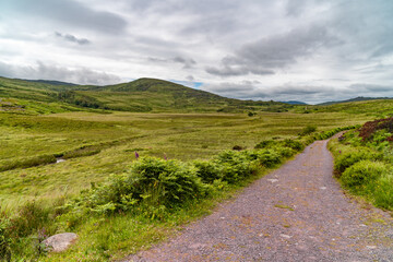 Fototapeta na wymiar Gravel road between field and forest, panoramic viev in irish mountains