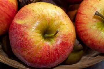 Close Up Red Apple
