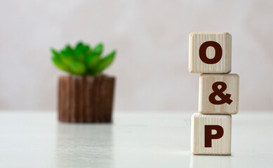 O&P word on wooden cubes on a light background with a cactus