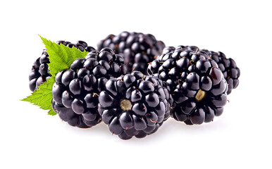 Fresh ripe blackberries with leaf in closeup on white background.