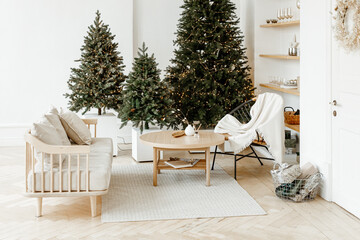 Modern interior design of the living room in Scandinavian style with Christmas and new year decorations.