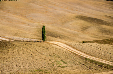 Tuscany