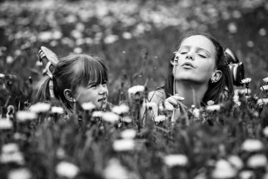 Cute little gitrl and eleven year old sister blowing dandelion seeds away in the meadow. Black and white photography.