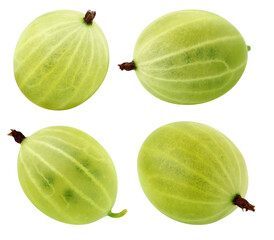 isolated green gooseberry on a white background.