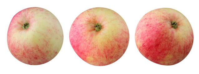 apples isolated on a white background.