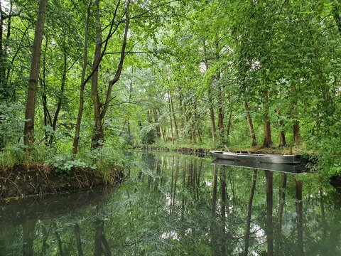 Canal In Spreewald In Germany