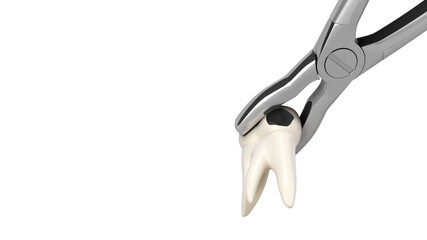 tooth clamped in medical extraction forceps dental services concept 3d render on white