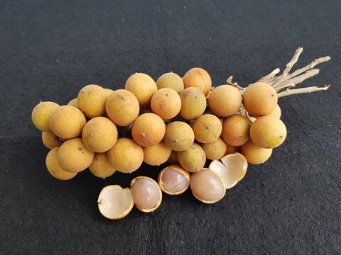 
Talisia esculenta, Sapindaceae family is a medium-sized tree native to the Amazon Basin, and is found in Brazil, Colombia, Peru, Paraguay and Bolivia. Amazon, Brazil
