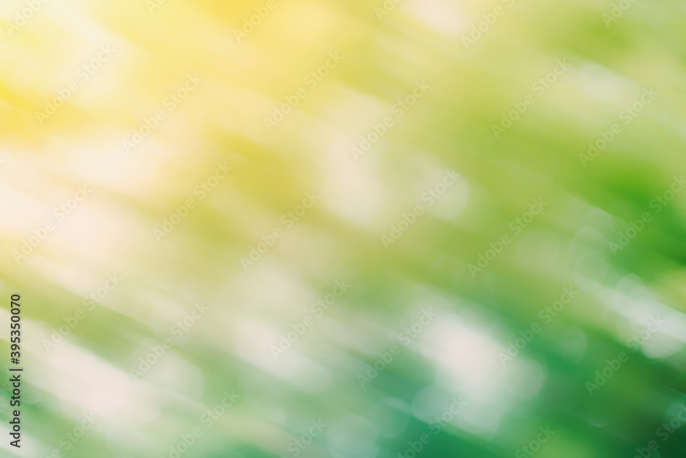 Wall mural defocused blur background of garden trees in sunlight.