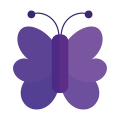 purple butterfly insect animal in cartoon flat icon style